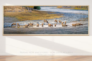 Wild Elk Wall Art – Rustic Western Canvas Print | Large Panoramic Elk Herd Decor