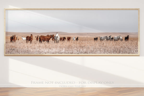 WILD HORSES PANORAMIC PRINT - KANSAS PHOTOGRAPHY 3:1