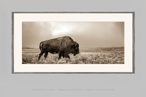 Panoramic bison wall art cow canvas print – wide Western ranch décor