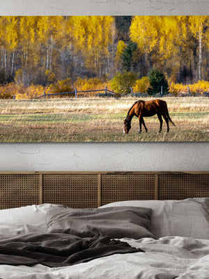 Horse wall art – panoramic rustic Western fine art print by Debra Gail Fine Art