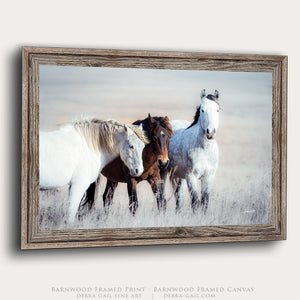 Wild Horses Canvas or Print | Western Fine Art Prairie Landscape Photography