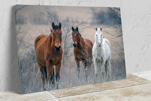 Wild Horses wall art – rustic Western fine art print by Debra Gail Fine Art