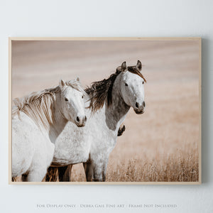 Two Mustangs Horse Wall Art - Flint Hills Kansas