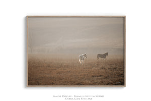 Farm and ranch wall art – Western horses and pasture photography print by Debra Gail Fine Art