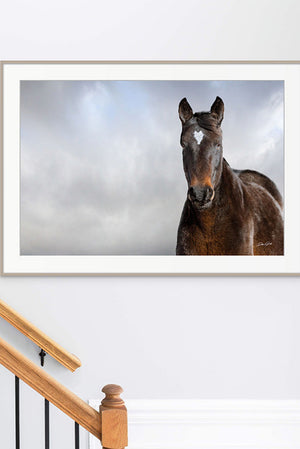 Horse wall art canvas print – rustic Western decor Debra Gail Fine Art