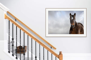 Horse wall art canvas print – rustic Western decor Debra Gail Fine Art