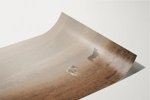 Farm and ranch wall art – Western horses and pasture photography print by Debra Gail Fine Art