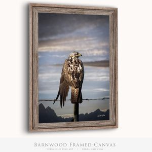 Hawk Art Print | Western Gothic Decor | Wildlife Photography | Rustic Wall Art Canvas