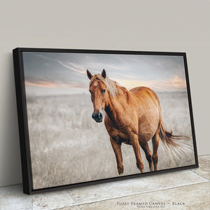 Framed horse photography with premium black float frame