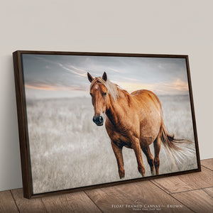 Framed horse photography with premium brown float frame