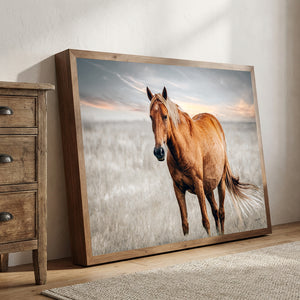Framed horse photography with premium frame