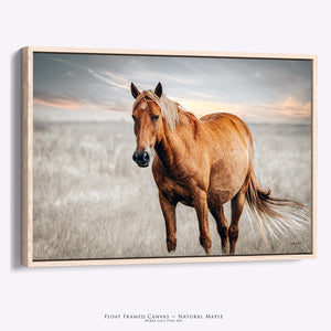 Framed horse photography with premium natural maple float frame