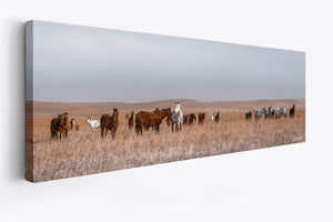 Horse wall art – wide picture of horses Western fine art print by Debra Gail Fine Art