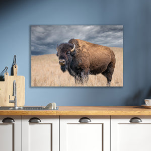 Buffalo Wall Art - Rustic Bison Prairie Framed, Canvas, Barnwood Framed