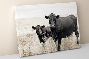 Black Angus cow calf wall art – fine art Western wildlife print by Debra Gail Fine Art