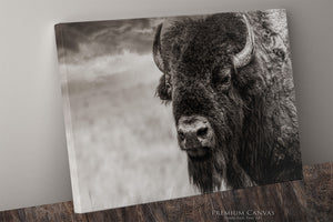 American Bison Wall Art in Neutral Tones |  Monochrome Buffalo Photography - Western Ranch Decor