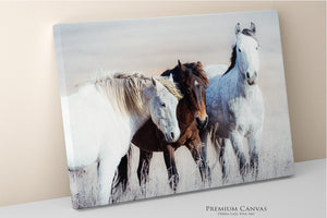 Wild Horses Canvas or Print | Western Fine Art Prairie Landscape Photography