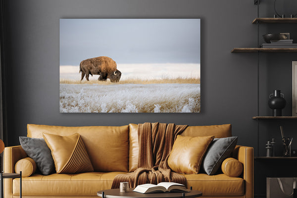 BISON ART PRINT or CANVAS - WINTER LANDSCAPE IN KANSAS