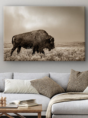 Buffalo Bison neutral wall art canvas – rustic prairie photography print