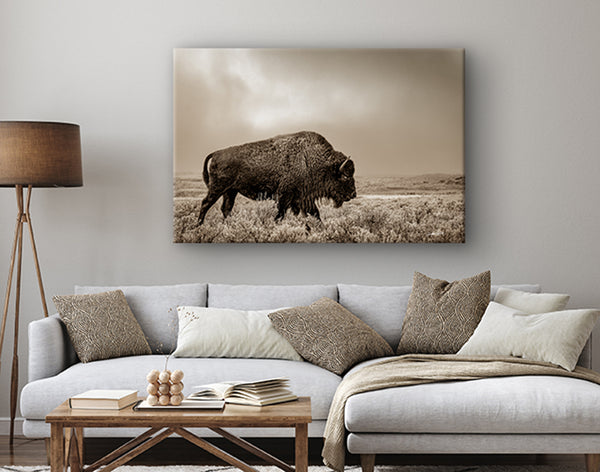 Bison Wall Art in Sepia - Western Gothic Decor No. 4148