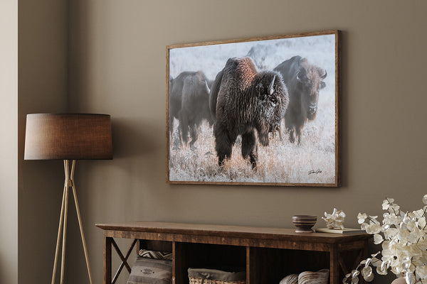 Bison in the Snow - Rustic Art Canvas Print No. 7745