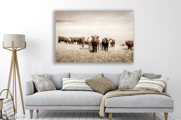 CATTLE ART PRINT - KANSAS PHOTOGRAPHY