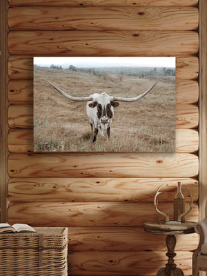 Texas Longhorn wall art – Western ranch photography print by Debra Gail Fine Art