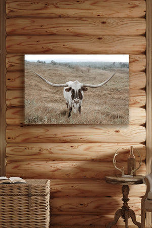 Texas Longhorn wall art – Western ranch photography print by Debra Gail Fine Art