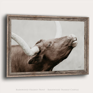 A framed monochrome bull portrait print with a rustic barnwood frame, shown against a light neutral background. The artwork depicts a close-up of a longhorn bull in sepia and white tones, and the frame is photographed at a slight angle with a soft drop shadow.
