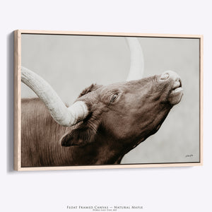 Texas Longhorn Cow Canvas | Rustic Farmhouse Wall Art Print