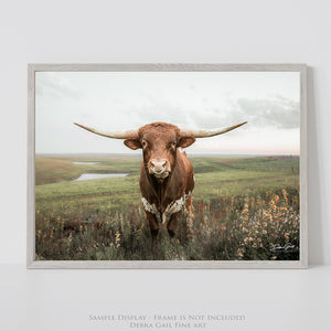 Texas Longhorn Wall Art | Rustic Western Farmhouse Cattle Print by Debra Gail