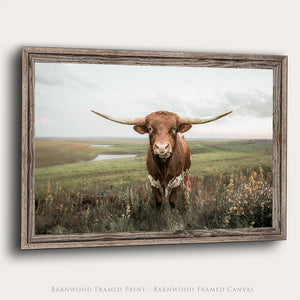 Texas Longhorn Wall Art | Rustic Western Farmhouse Cattle Print by Debra Gail