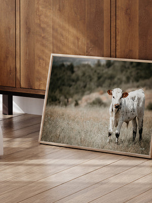 A framed photographic print of a white cow standing in a grassy field, leaning against a wooden cabinet on a wood floor next to a small wooden toy cart.