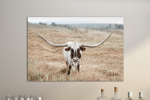 Longhorn Cow Print or Canvas - Neutral Farmhouse Artwork