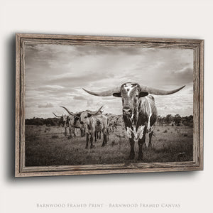 Texas Longhorn Wall Art | Rustic Western Decor Farmhouse Canvas Print