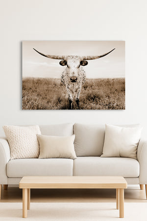 Longhorn wall decor – rustic Western fine art print by Debra Gail Fine Art