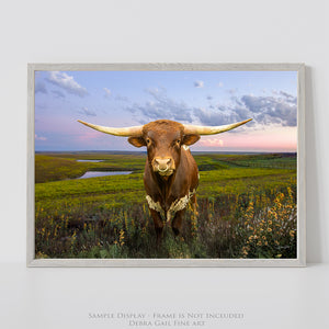 Texas Longhorn wall art – Western ranch photography print by Debra Gail Fine Art