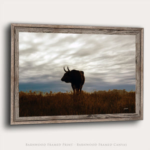Texas Longhorn Bull Wall Art Canvas | Natural Colors Western Ranch Fine Art