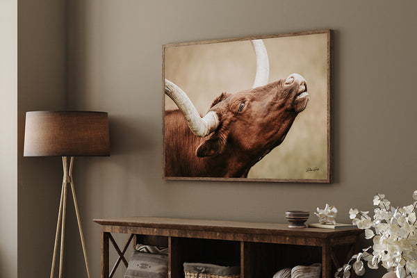 LONGHORN CLOSEUP COW PRINT - CANVAS FARMHOUSE DECOR