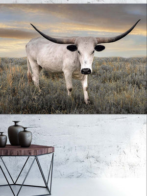 Texas Longhorn wall art – Western ranch photography print by Debra Gail Fine Art