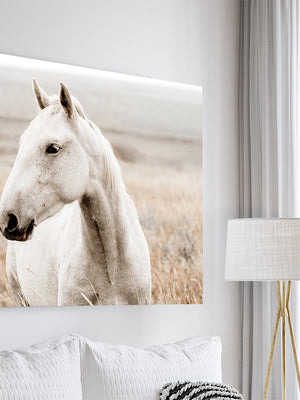 Large Wyoming wild horse canvas print displayed in a luxury modern farmhouse living room.