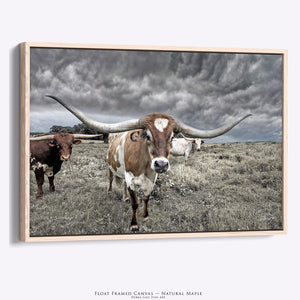 Texas Longhorn Wall Art Canvas | Rustic Western Print Decor