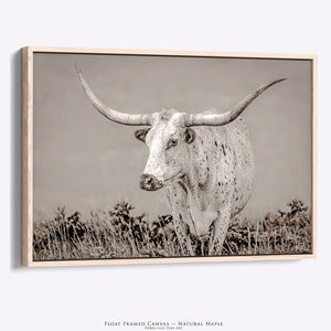 Longhorn Canvas Wall Art | Texas Longhorn Art - Rustic Western Wall Decor