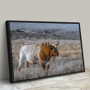 Texas Longhorn Bull Art | Central Great Plains Wall Art