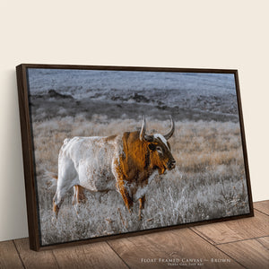 Texas Longhorn Bull Art | Central Great Plains Wall Art
