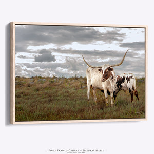 Longhorn Cow and Calf Canvas Wall Art | Texas Longhorn Rustic Western Decor Print