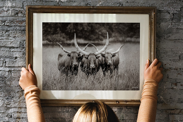 WATUSI LONGHORN ART - WESTERN DECOR