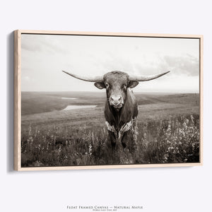 Texas Longhorn Wall Art | Neutral Decor Western Canvas Print