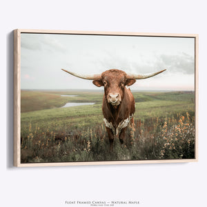 Texas Longhorn Wall Art | Rustic Western Farmhouse Cattle Print by Debra Gail