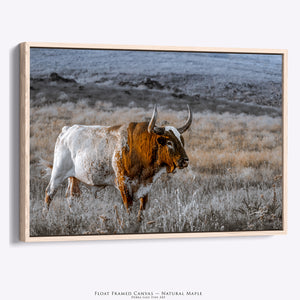Texas Longhorn Bull Art | Central Great Plains Wall Art